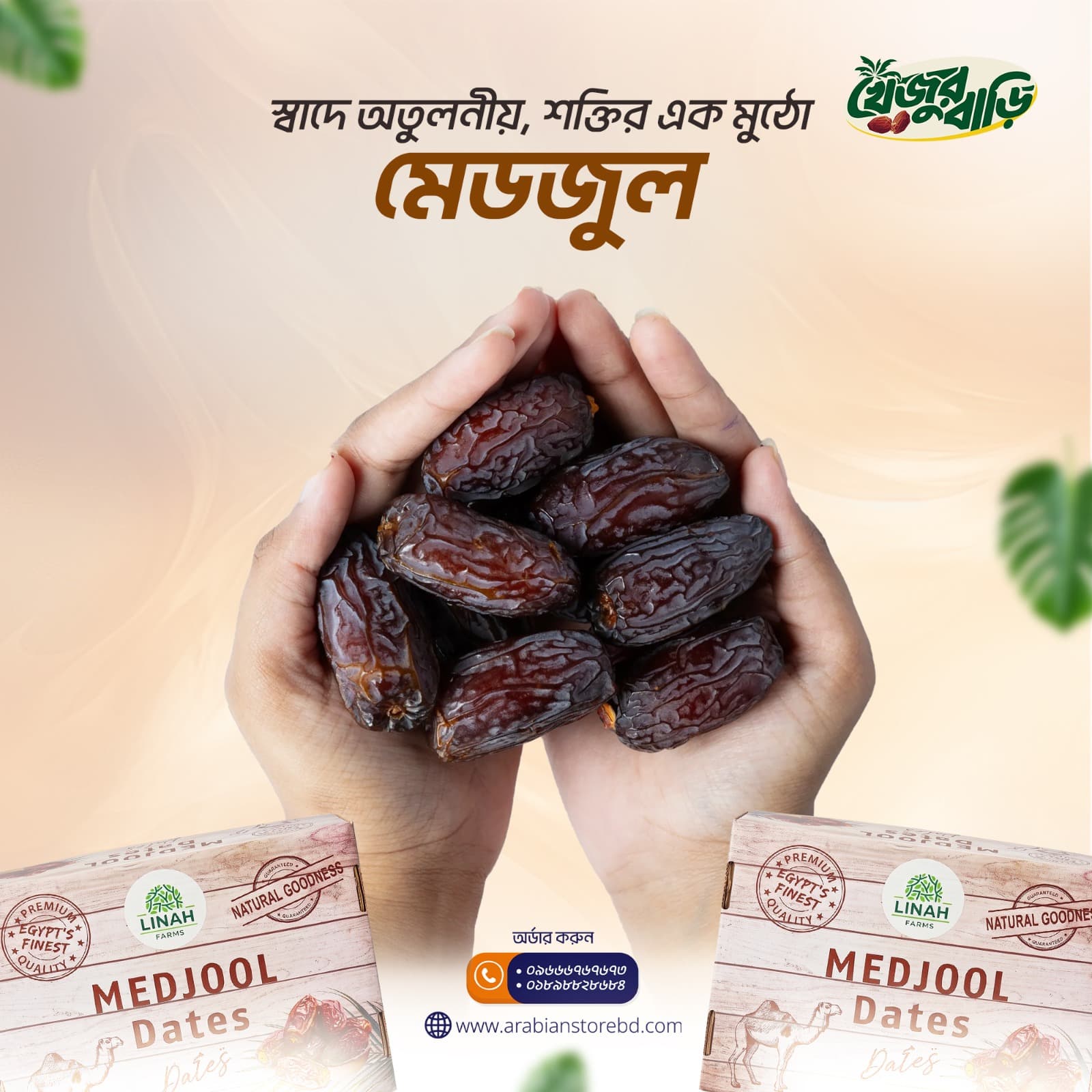 Premium Medjool Dates